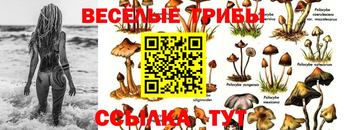 Псилоцибиновые грибы GOLDEN TEACHER  где продают наркотики  Урюпинск  Вход с VPN 